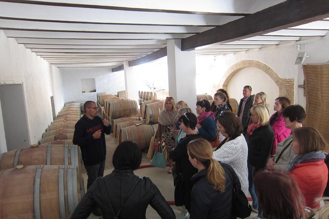 Private Wine Tour With Wine Tasting and Full Lunch - Cancellation Policy and Reviews