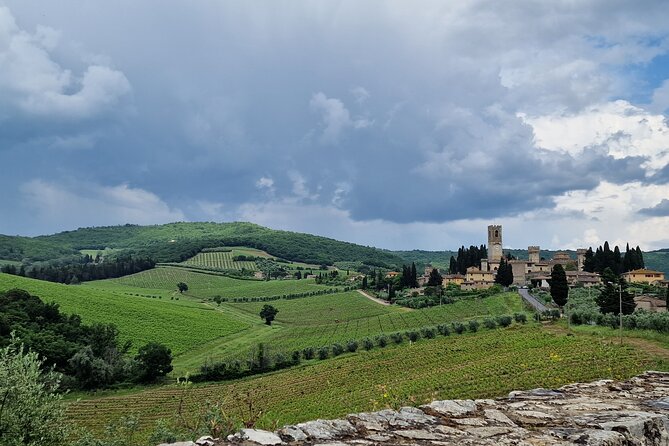 Private Wine Tours Best of Chianti Vip Tuscany 6 Hours Half Day - Tour Highlights