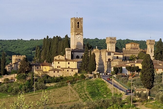 Private Wine Tours Best of Chianti Vip Tuscany 6 Hours Half Day - Customer Support