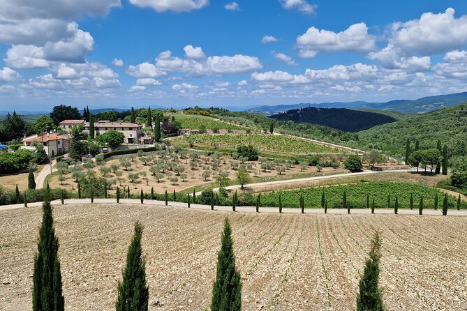 Private Wine Tours Best of Chianti Vip Tuscany 6 Hours Half Day - User Ratings