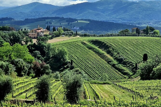 Private Wine Tours Best of Chianti Vip Tuscany 6 Hours Half Day - Terms and Conditions