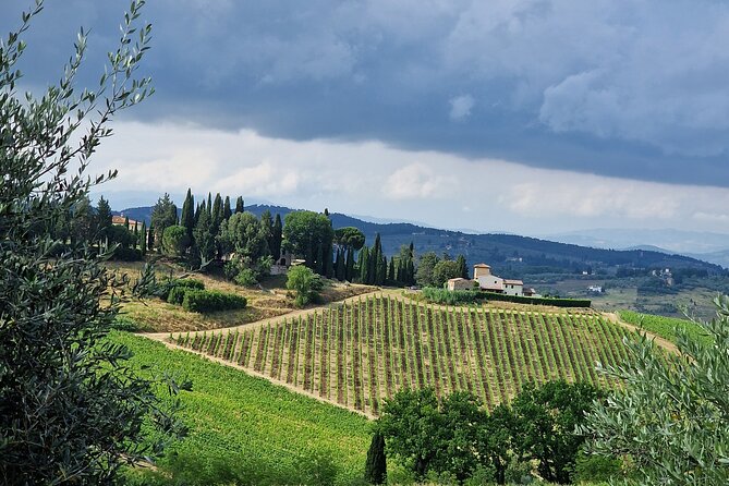 Private Wine Tours Best of Chianti Vip Tuscany 6 Hours Half Day - Frequently Asked Questions
