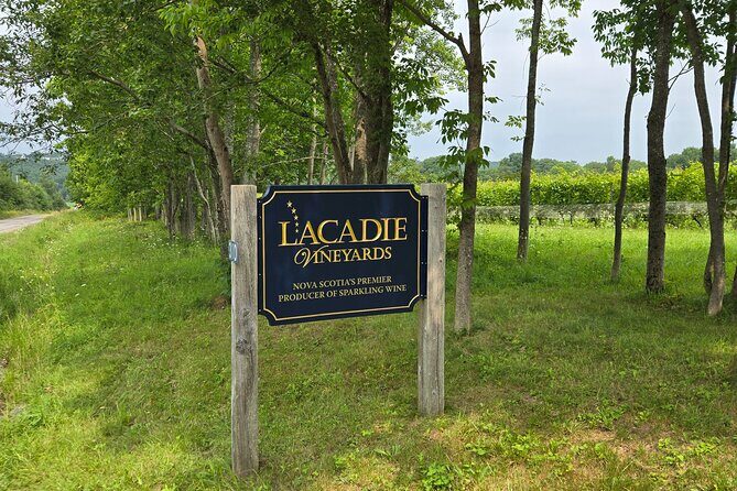 Private Wine Tours from Halifax - Exploring Halifax’s Best-Kept Secret: Private Wine Tours from Halifax