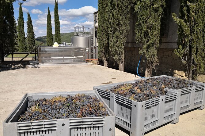 PRIVATE WINE TOURS VIP Wines and Wineries of Chianti Classico - Winery Building Tour and Experience