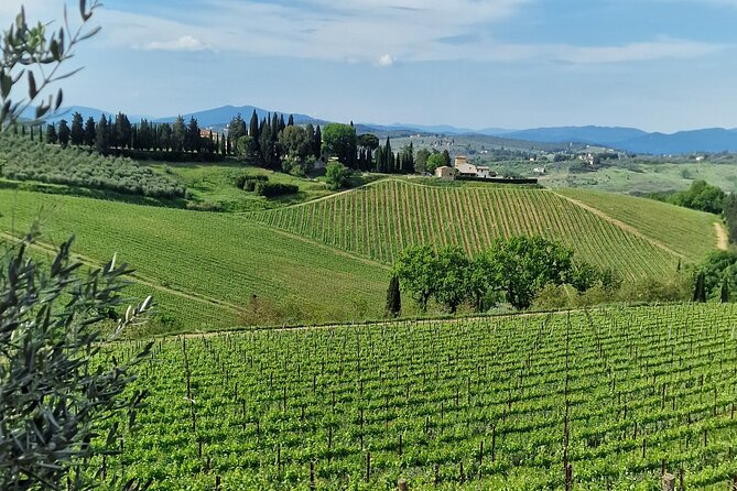 PRIVATE WINE TOURS VIP Wines and Wineries of Chianti Classico - Connectivity and Comfort During the Tour