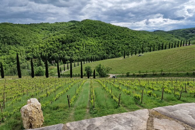 PRIVATE WINE TOURS VIP Wines and Wineries of Chianti Classico - Private Tour and Activity Details