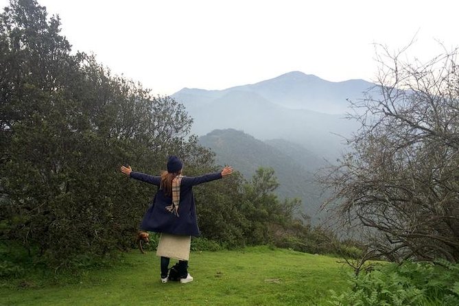 Private Wine Trekking Tour Including Chilean Country Grill - Biodiversity and Natural Beauty