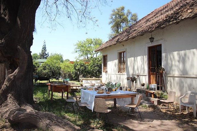 Private Wine Trekking Tour Including Chilean Country Grill - Vineyard Walk and History