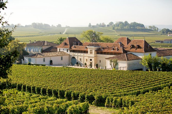 Private Wine Trip to Saint-Emilion Aboard Vintage French Presidential Car - Vintage French Presidential Car