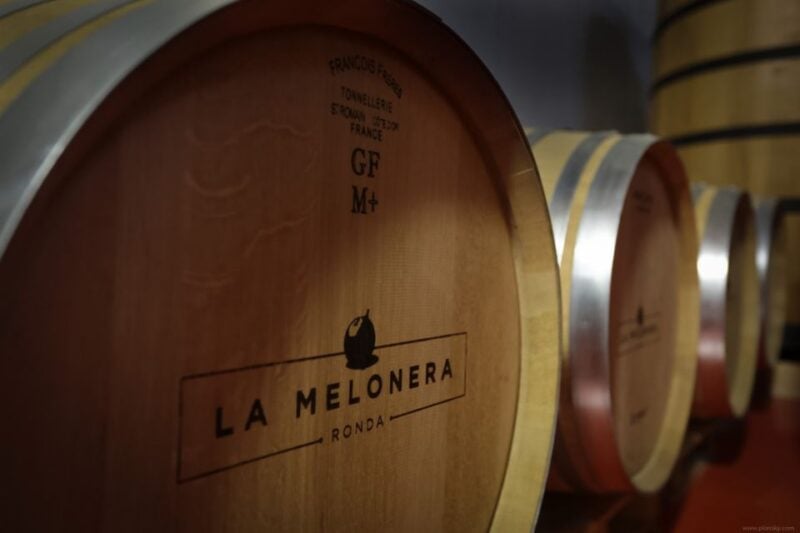 Private Winery Tour and Visit to Ronda - Winery Experience
