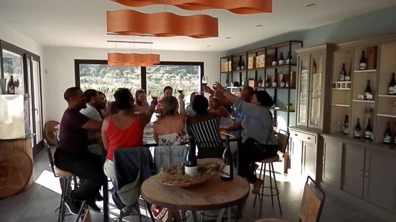 Private Winery Tour and Visit to Ronda - Grape Varieties and Growing Conditions