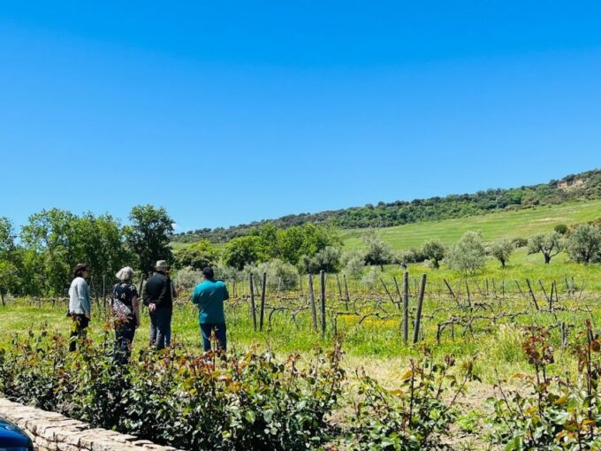 Private Winery Tour and Visit to Ronda - Frequently Asked Questions