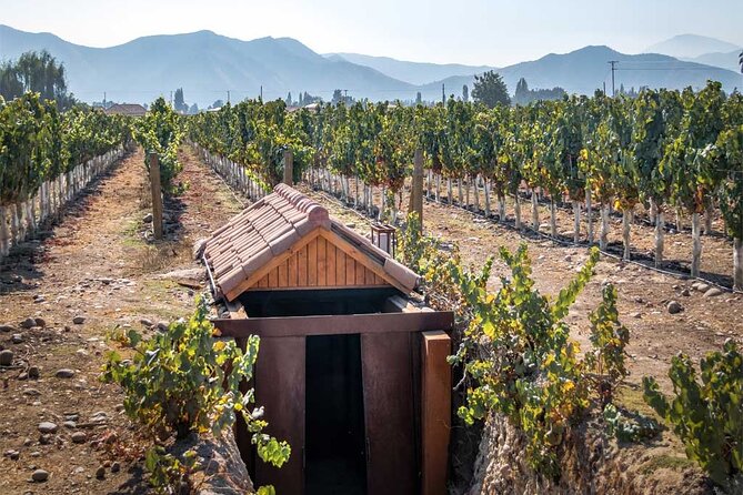 Private Winery Undurraga From Santiago - Tour Details