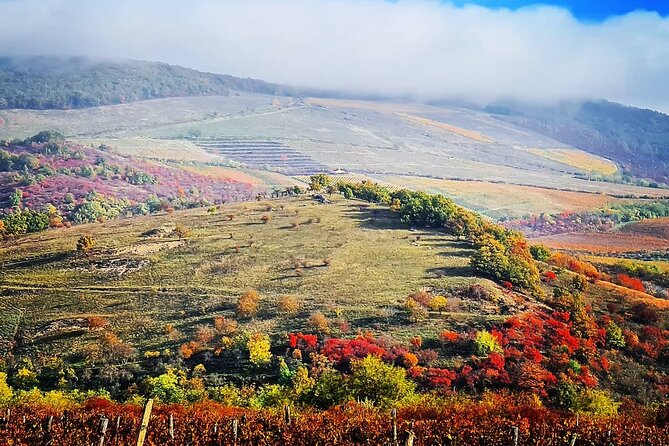 Private Winetasting and Sightseeing Tour to Eger, Home to Bulls Blood Wine! - Unique Experiences