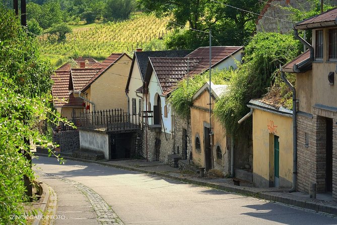 Private Winetasting and Sightseeing Tour to Eger, Home to Bulls Blood Wine! - Reviews and Ratings