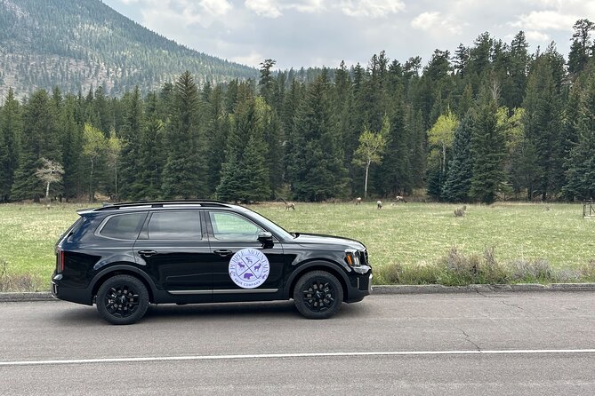 Private Winter Tour in Rocky Mountain National Park - Key Points