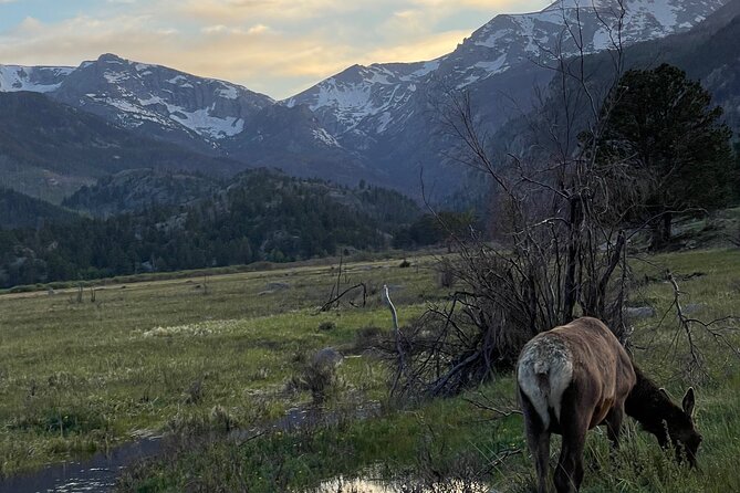 Private Winter Tour in Rocky Mountain National Park - Meeting and Pickup