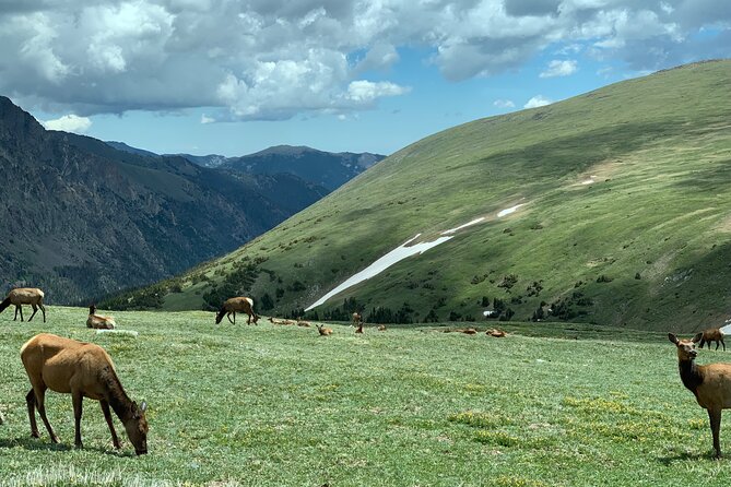 Private Winter Tour in Rocky Mountain National Park - Tour Pricing and Booking