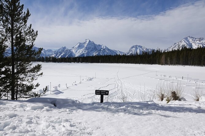 Private Winter Tour of Grand Teton National Park & Sleigh Ride - Customer Experiences