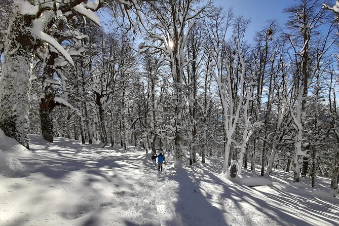 Private Winter Trekking Experience in Bariloche - Inclusions and Highlights