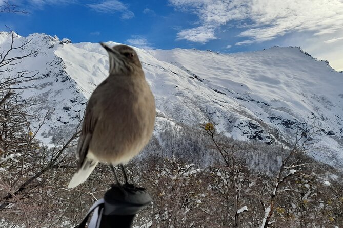 Private Winter Trekking Experience in Bariloche - Confirmation and Booking