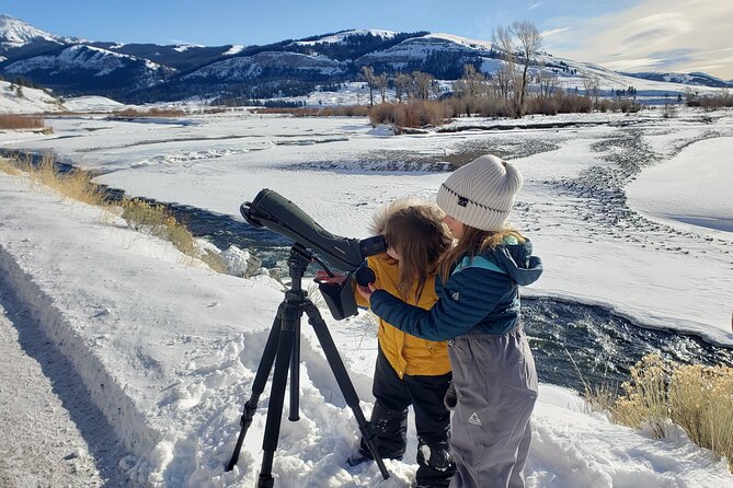 PRIVATE Wolf & Wildlife Watching in Yellowstones Lamar Valley - Operated by In Our Nature Guiding Services