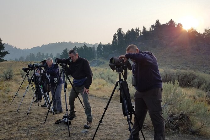 PRIVATE Wolf & Wildlife Watching in Yellowstones Lamar Valley - Additional Information