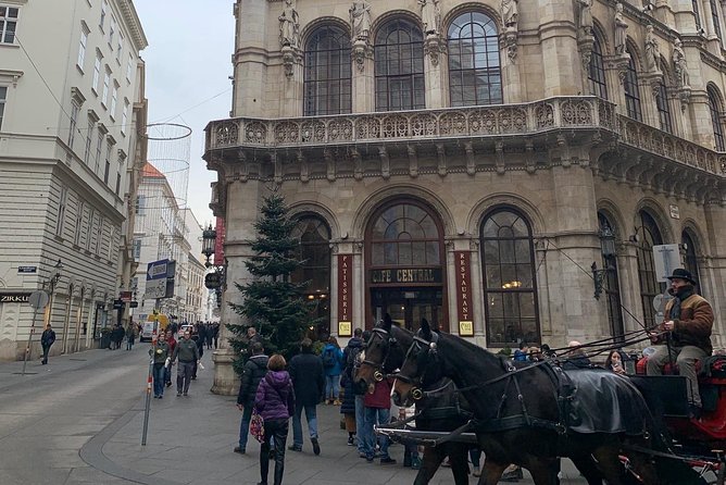 Private World War II Walking Tour in Vienna - Tour Experience