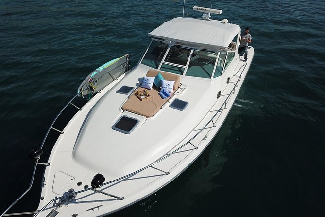Private Yacht Cruise 4 Hour- Snorkeling & Paddle Boarding - Customer Ratings and Feedback