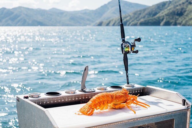 Private Yacht Cruise in the Marlborough Sounds New Zealand - Customizable Cruise Experience