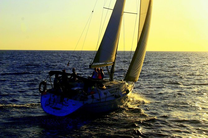 Private Yacht Excursion From Puerto Colon 3 Hours - Whale Watching and Marine Life