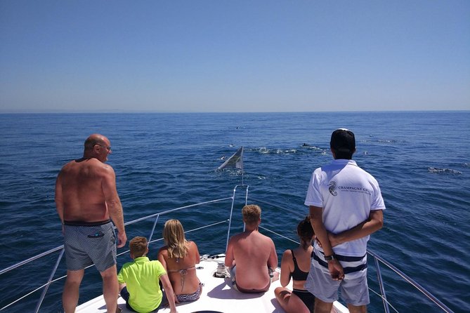 Private Yacht Hire in The Algarve - Majestic - Pricing Information