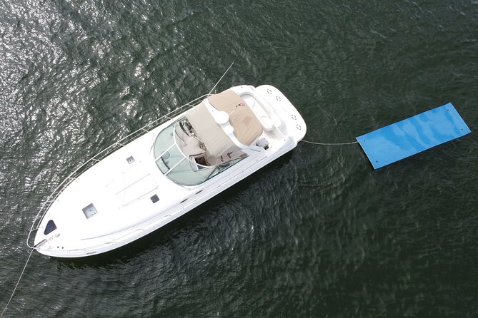 Private Yacht Rental Miami, Customizable Tours, Dolphin Watching - Customer Experiences