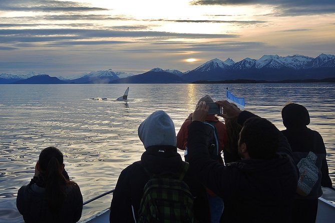 Private Yacht Sailing on the Beagle Channel - Cancellation and Refund Policy