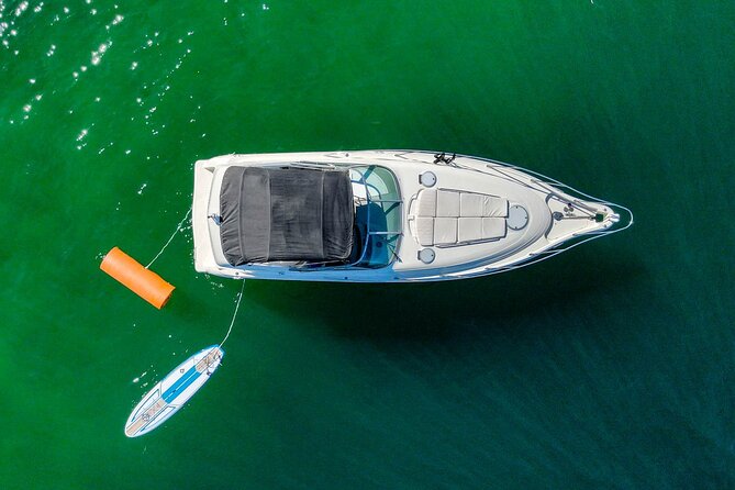 Private Yacht, Snorkeling or Sunset in Cabo San Lucas - Sunset Views and Whale Watching