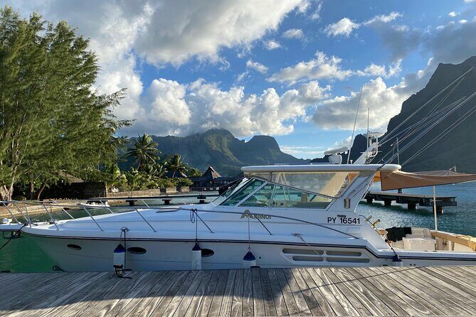 Private Yacht tour on Tahiti or Moorea lagoon - Who Would Love This Tour?