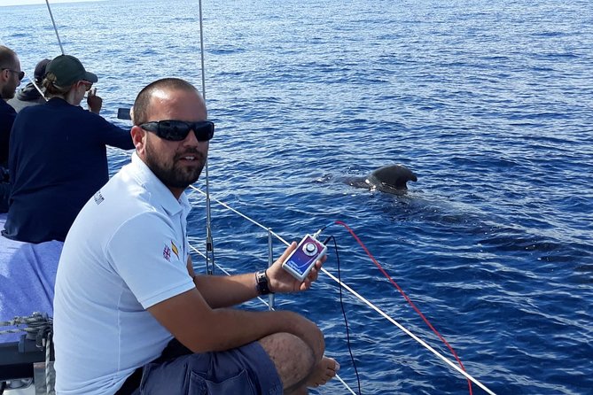 Private Yacht Tour With Whale and Dolphin Watching 42 Foot Boat - Reviews and Ratings