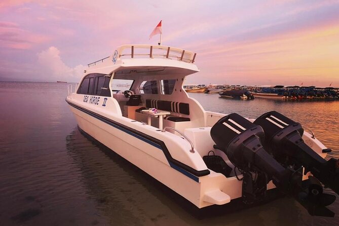 Private Yacht Trip Tour Bali - 8 Hours Day Trip Nusa Penida - SH2 - Meeting and Departure