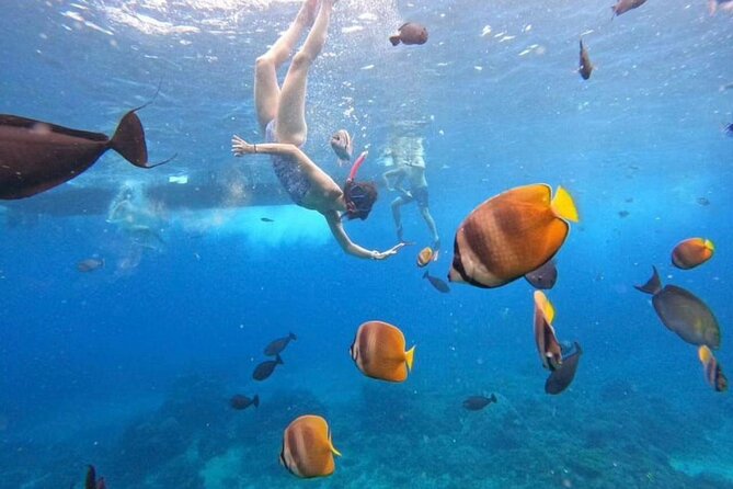 Private Yacht Trip Tour Bali - 8 Hours Day Trip Nusa Penida - SH2 - Private Transportation and Pickup