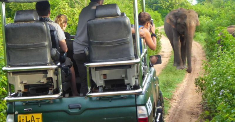 Private Yala National Park Safari Full Day Tour With Lunch - Included Amenities