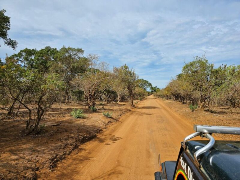 Private Yala National Park Wildlife Safari From Hambantota - Inclusions