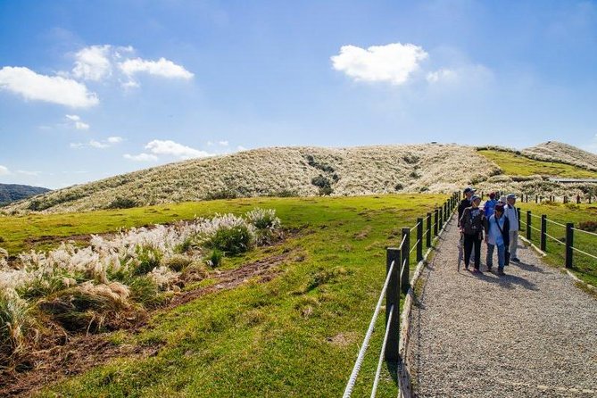 Private Yangmingshan & Beitou Tour From Taipei With Pickup - Cultural Experiences