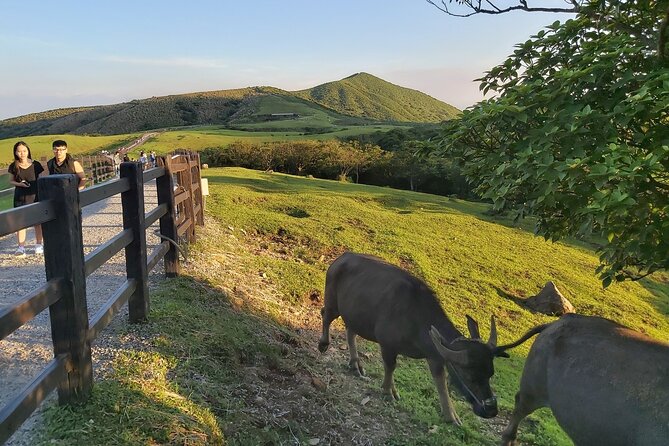Private Yangmingshan Hiking Day Tour From Taipei - Additional Information