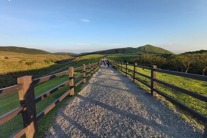 Private Yangmingshan Hiking Day Tour From Taipei - Memorable Private Tour Experience
