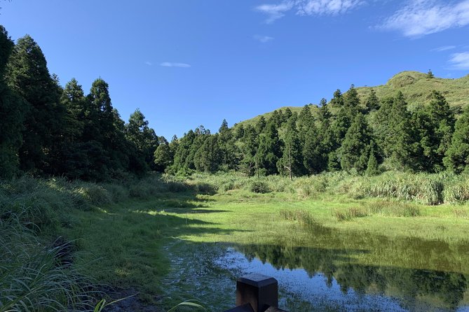 Private Yangmingshan Volcano Tour - Customer Reviews and Experiences