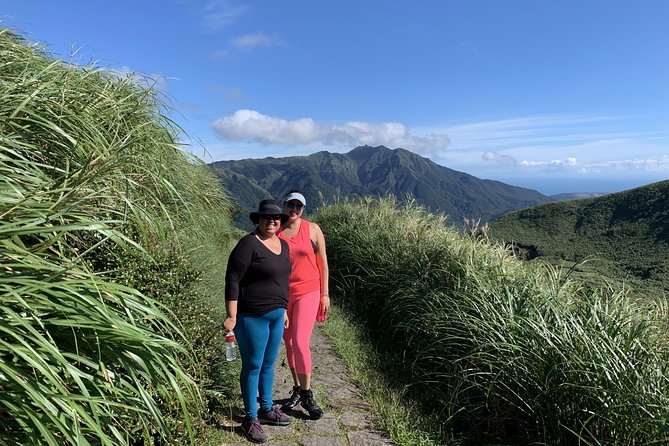 Private Yangmingshan Volcano Tour - Highlights and Unique Features
