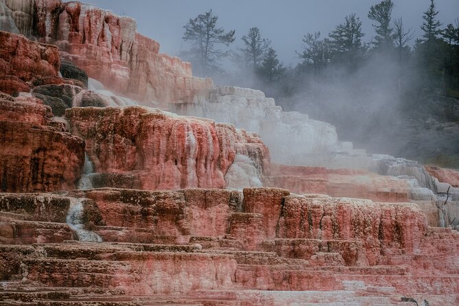 Private Yellowstone Day Tour: Up to 6 (9 a Van a Day) - Meeting and End Points