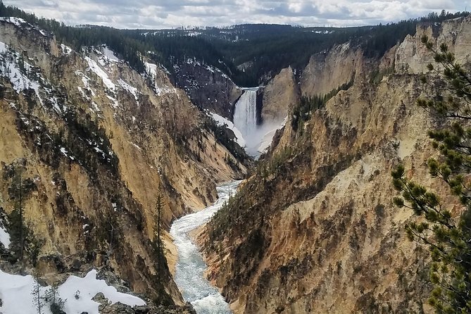 Private Yellowstone Lower Loop Tour - Reviews and Ratings