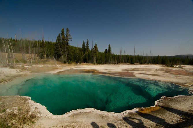 Private Yellowstone Old Faithful and Lower Loop Tour - Confirmation and Accessibility