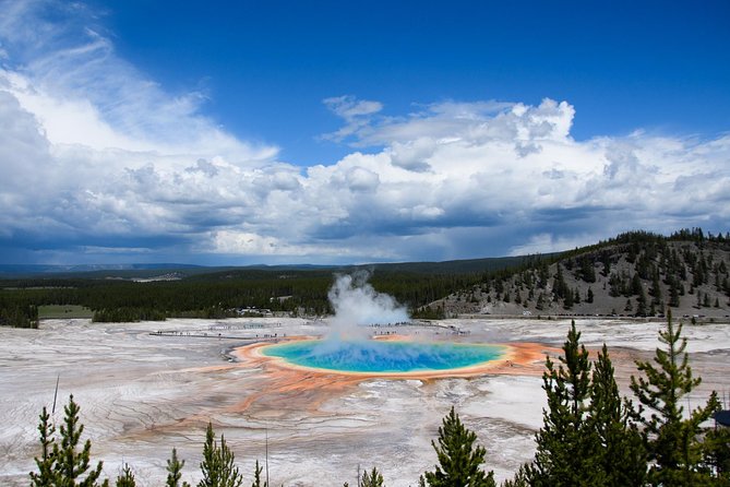 Private Yellowstone Old Faithful and Lower Loop Tour - Discovering the Lower Loop